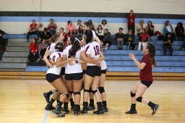 triumphant volleyball players celebrate their victory